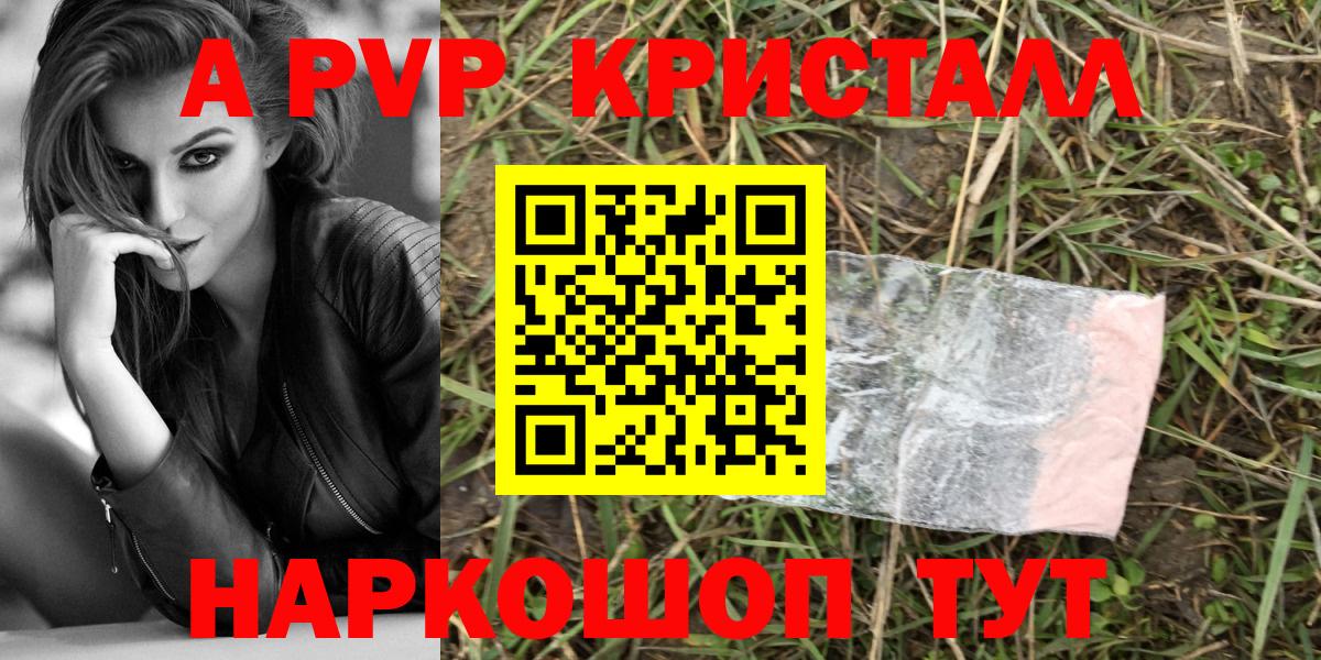 APVP СК КРИС  Вход с VPN  Нальчик  Альфа ПВП СК  А ПВП крисы CK 