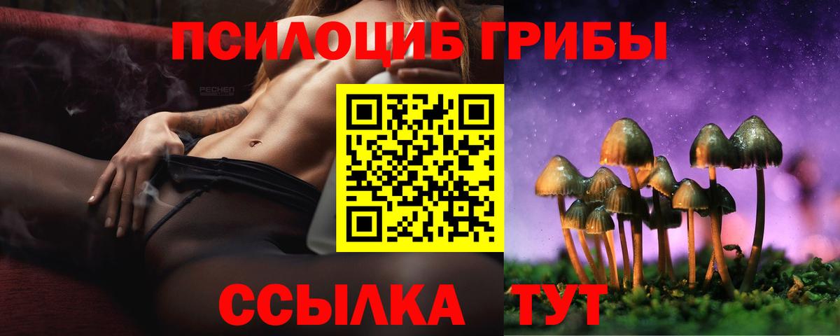 Галлюциногенные грибы Magic Shrooms Нальчик